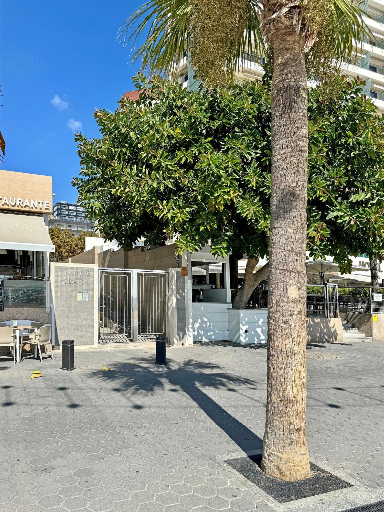 Precioso Estudio Frente La Playa 貝尼多姆 外观 照片